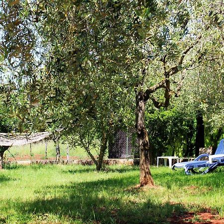 הוילה רוביני Oliven Garden מראה חיצוני תמונה