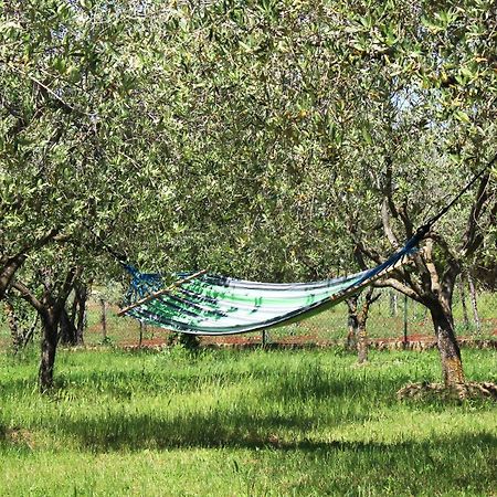 הוילה רוביני Oliven Garden מראה חיצוני תמונה