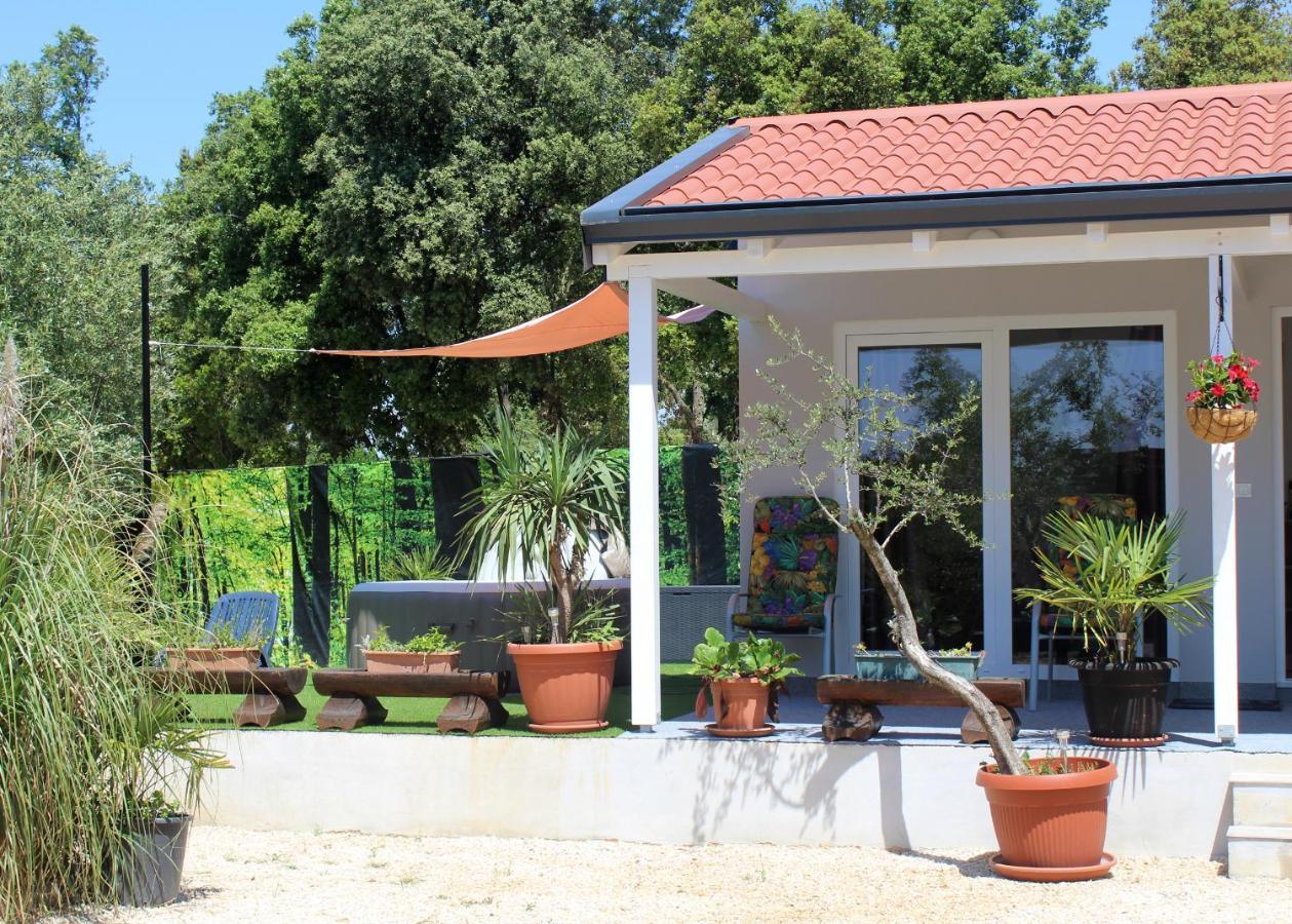 הוילה רוביני Oliven Garden מראה חיצוני תמונה