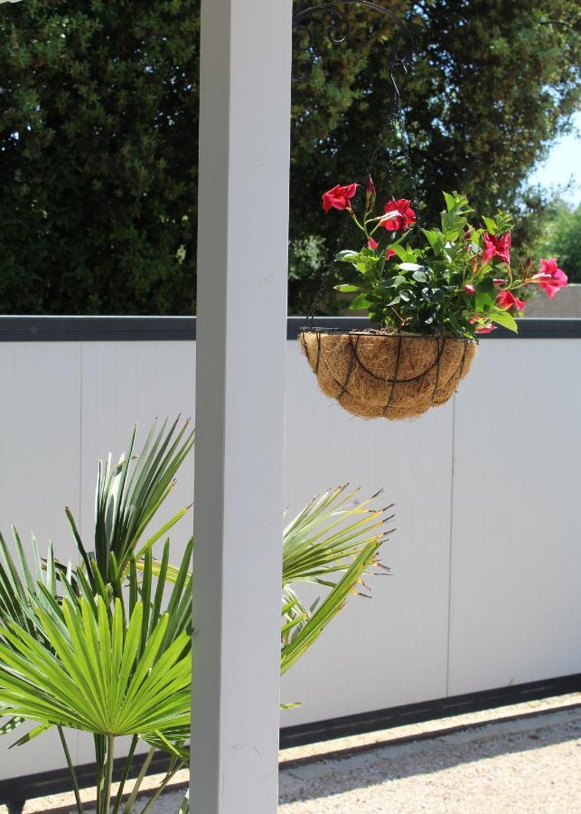 הוילה רוביני Oliven Garden מראה חיצוני תמונה
