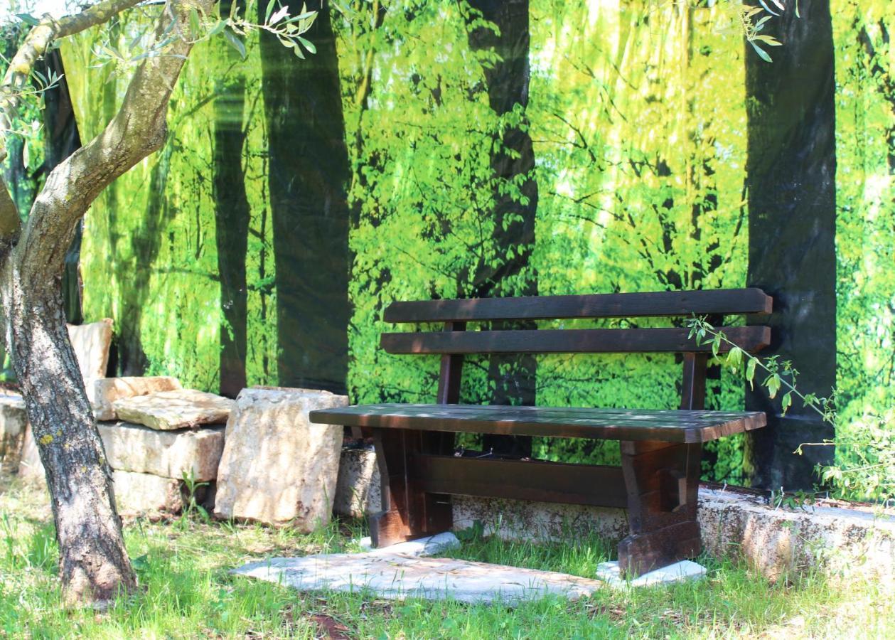 הוילה רוביני Oliven Garden מראה חיצוני תמונה