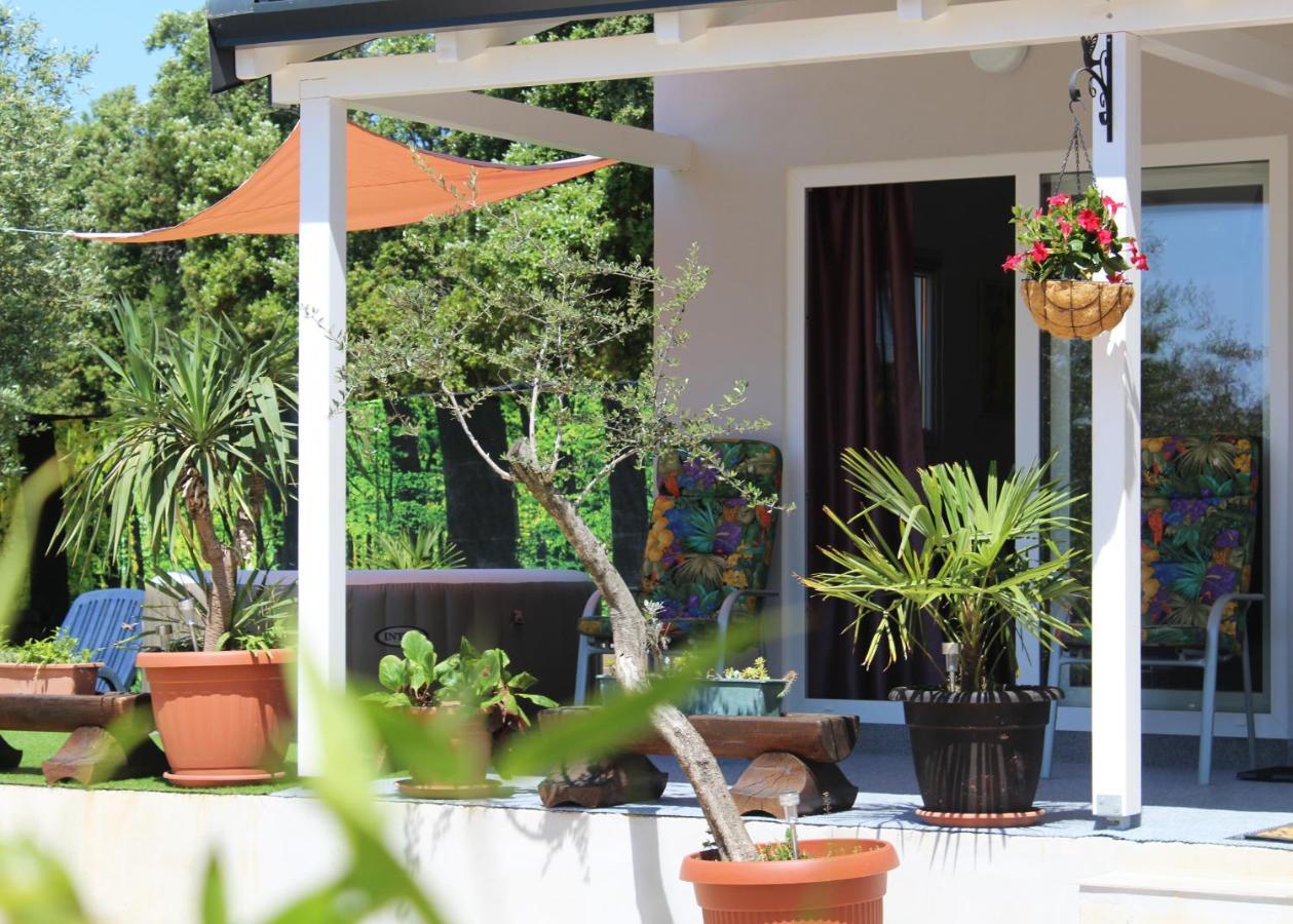 הוילה רוביני Oliven Garden מראה חיצוני תמונה