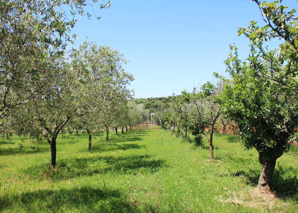 הוילה רוביני Oliven Garden מראה חיצוני תמונה