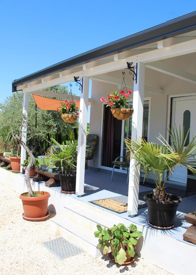 הוילה רוביני Oliven Garden מראה חיצוני תמונה