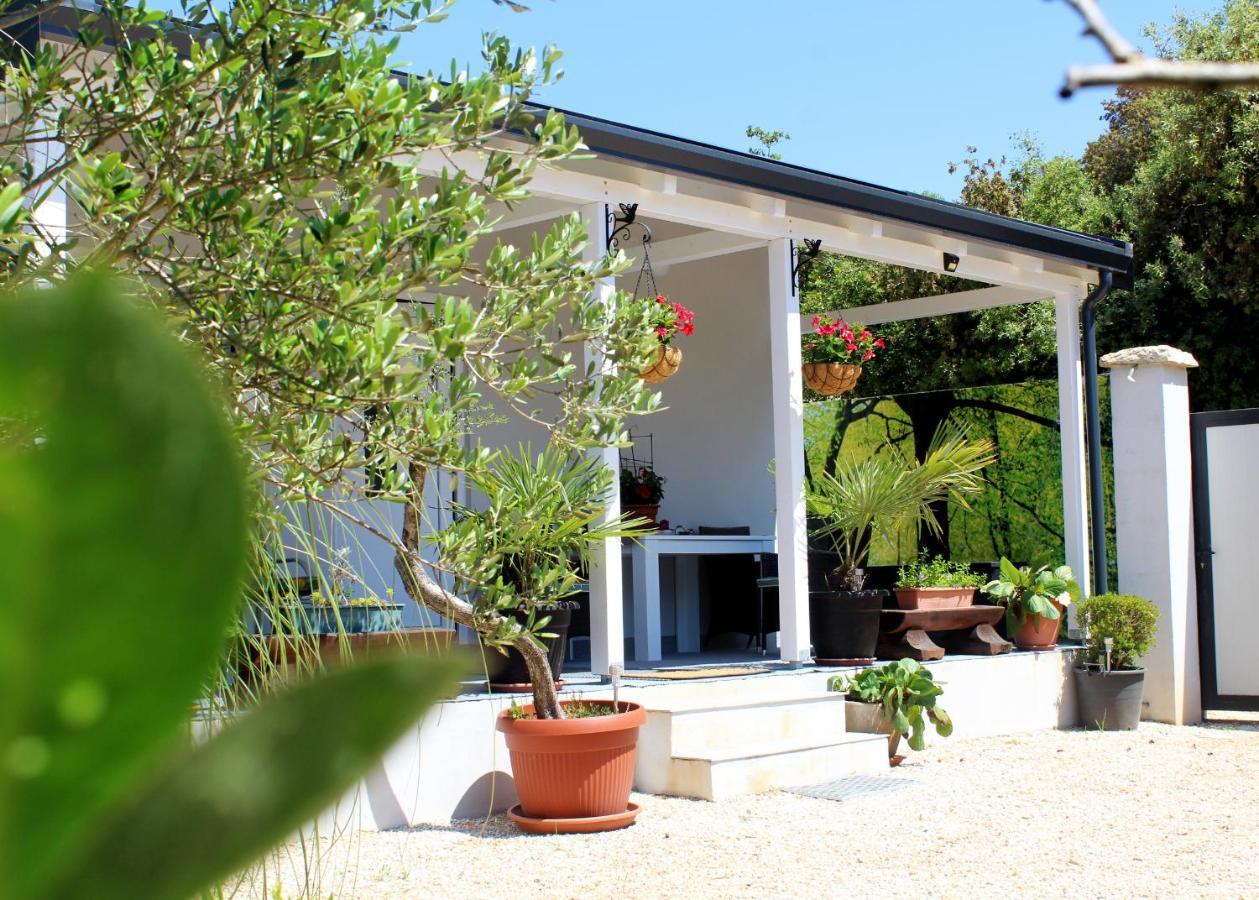 הוילה רוביני Oliven Garden מראה חיצוני תמונה