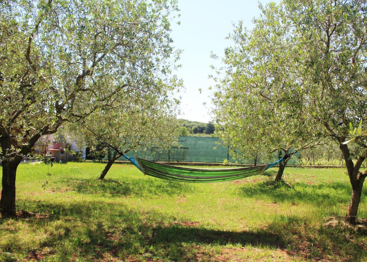 הוילה רוביני Oliven Garden מראה חיצוני תמונה