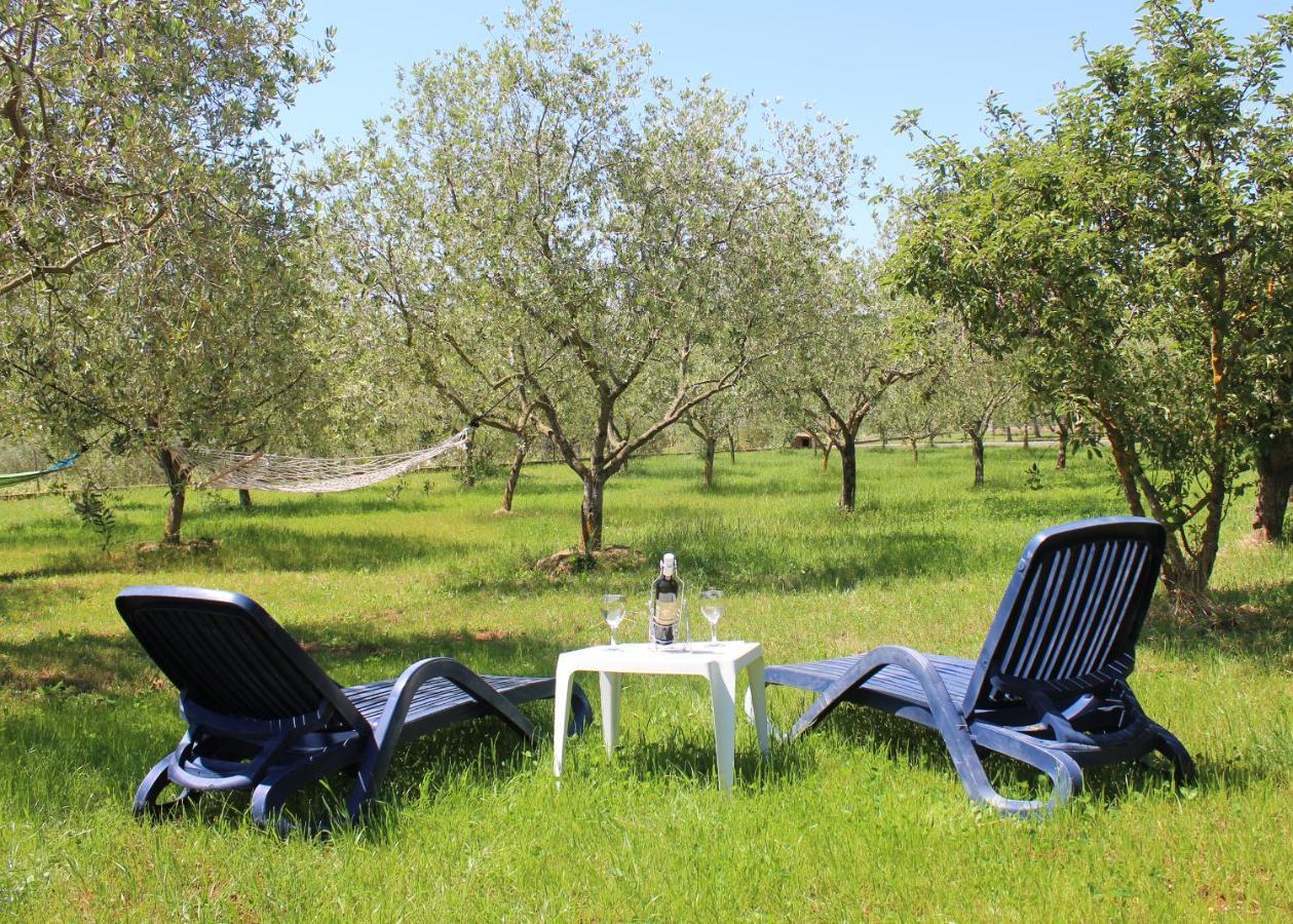 הוילה רוביני Oliven Garden מראה חיצוני תמונה