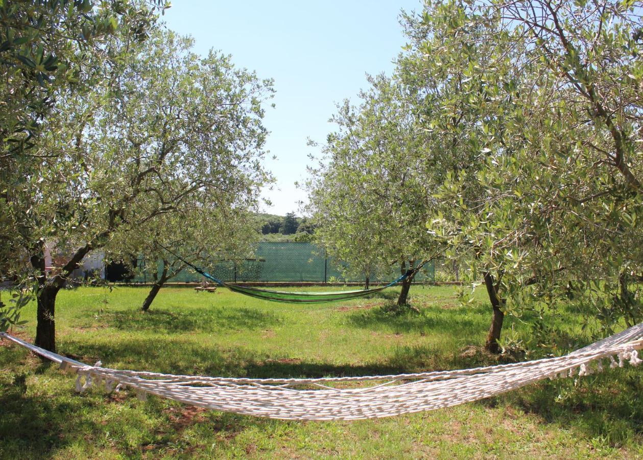 הוילה רוביני Oliven Garden מראה חיצוני תמונה