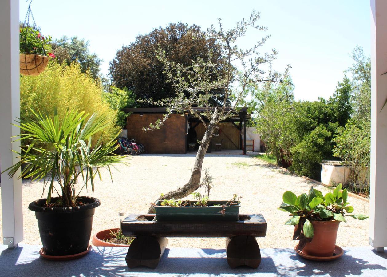 הוילה רוביני Oliven Garden מראה חיצוני תמונה