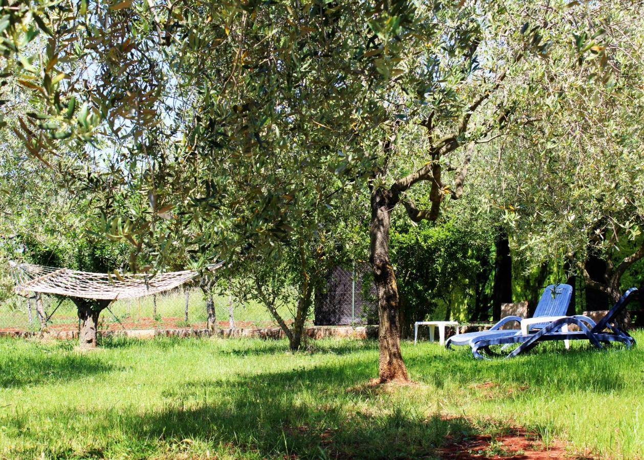 הוילה רוביני Oliven Garden מראה חיצוני תמונה