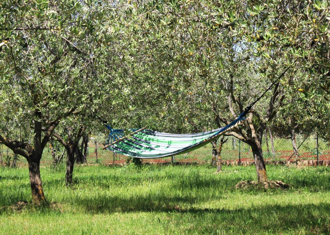 הוילה רוביני Oliven Garden מראה חיצוני תמונה