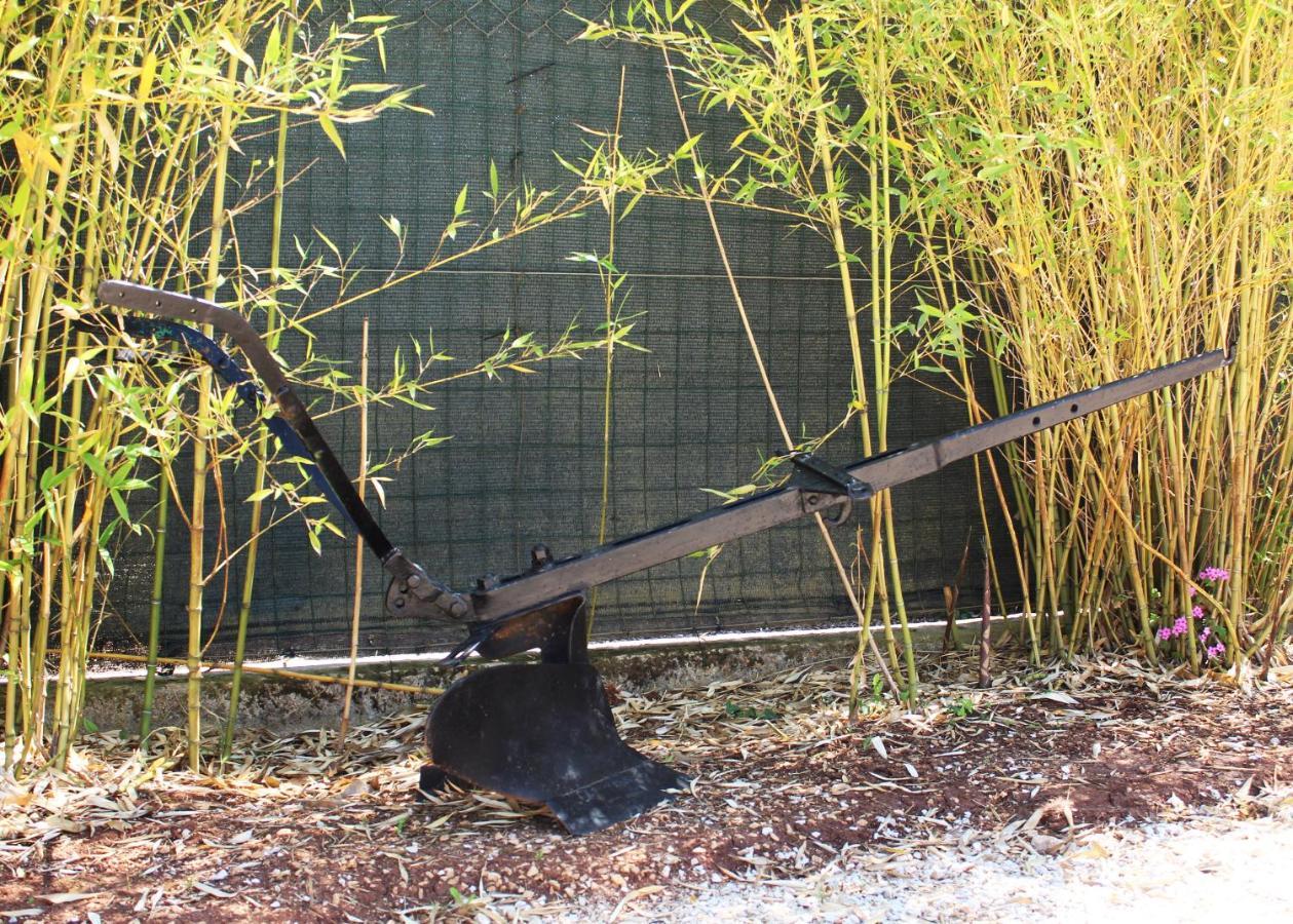 הוילה רוביני Oliven Garden מראה חיצוני תמונה