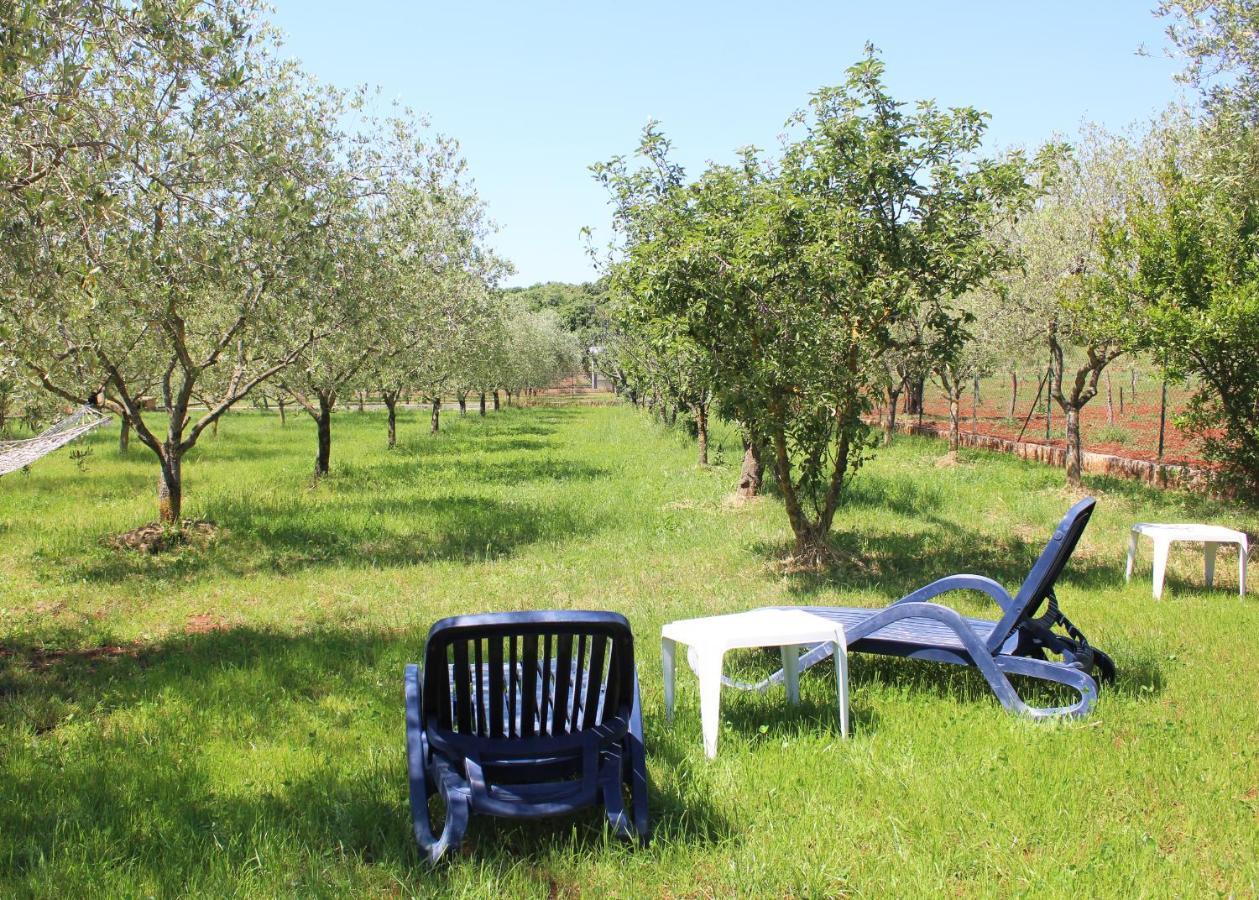 הוילה רוביני Oliven Garden מראה חיצוני תמונה
