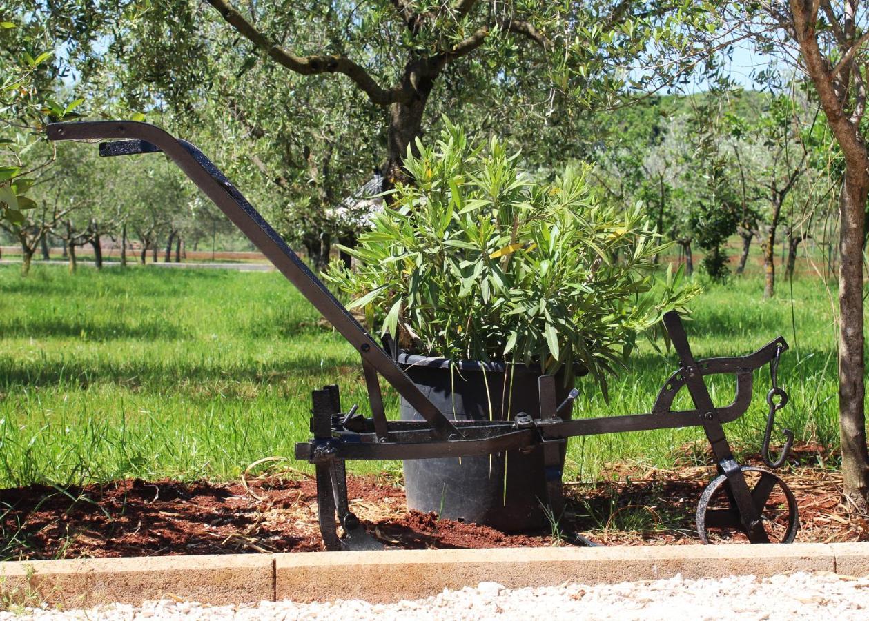 הוילה רוביני Oliven Garden מראה חיצוני תמונה